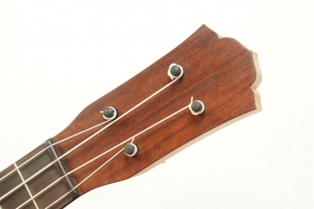 ukulele concert 14f std. – Sitka Spruce TOP/Karin SIDE & BACK